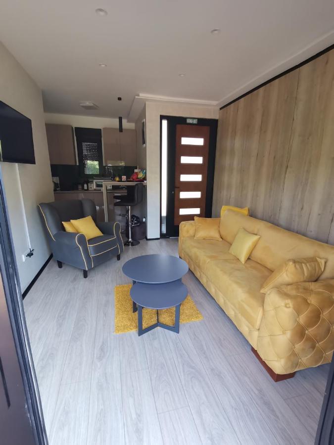 Ehinacea Apartment รทานิ ภายนอก รูปภาพ