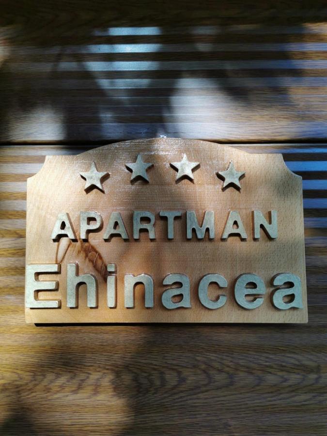 Ehinacea Apartment รทานิ ภายนอก รูปภาพ